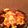 アクア・ティナ's cooksnap of when they made *✿ニョッキのボロネーゼグラタン✿*.