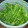 海原ピエール's cooksnap of when they made 人参の抜き菜の御浸し.