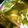 おいしくなあれ's cooksnap of when they made 豆腐とニラとカニカマdeスープ.