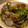すくらんぷしゃす's cooksnap of when they made 豆苗とあさりのにんにく酒蒸し.