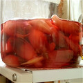 triagered's cooksnap of when they made ピンクがきれいな　みょうがの甘酢漬け.