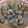 ツヨホコ's cooksnap of when they made 砂肝の塩コショウ炒め♪ガーリック風味♪.
