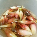 しゃりくま's cooksnap of when they made 簡単♪　ミョウガの酢漬け.