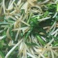 panda1024's cooksnap of when they made 豚ニラもやし☆にんにく醤油炒め.