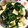 さくらそらまま's cooksnap of when they made 長芋とほうれん草のおひたし.