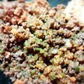 Nippimy's cooksnap of when they made いろいろ使える☆簡単！ミートソース.