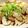 hanapippi's cooksnap of when they made 長芋と豚肉のニンニク炒め.