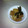 leoma's cooksnap of when they made かぶと生揚げの煮物.
