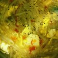 premegu's cooksnap of when they made もやしと絹ごし豆腐の酸辣湯風☆.