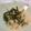 Haru Haru's cooksnap of when they made ほうれん草の明太・とろろかけ♪.