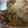 クック5QI1E1☆'s cooksnap of when they made じゅわっと旨♪舞茸の肉巻き.