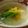 タモちゃん's cooksnap of when they made 蕪のみぞれ汁.