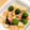 とこまあ's cooksnap of when they made 彩り◎オリーブと魚介ときのこのアヒージョ.