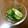 celamica's cooksnap of when they made からし漬け　きゅうり　1本漬け.