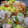 ミサプチ's cooksnap of when they made 菜の花と鮭と卵のチラシ寿し.