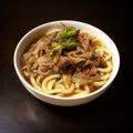 kumibu's cooksnap of when they made 肉うどん.
