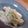 かさっと's cooksnap of when they made 簡単：レンジ２分：白菜のワサビマヨ和え.