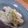 かさっと's cooksnap of when they made 簡単：レンジ２分：白菜のワサビマヨ和え.