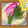 ゆうやけmoco's cooksnap of when they made ちょっぴり甘め＊我が家の茶わん蒸し.