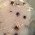 くろくろくらくろすけ's cooksnap of when they made おろし蓮根スープ.