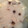 くろくろくらくろすけ's cooksnap of when they made おろし蓮根スープ.