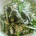 いよか's cooksnap of when they made ひじきと水菜のサラダ.