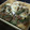 ＋SUN3's cooksnap of when they made ゴーヤの挽き肉キムチ炒め.
