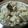 くらま's cooksnap of when they made 舞茸ご飯２種.