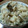 くらま's cooksnap of when they made 舞茸ご飯２種.