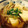 mantacarp's cooksnap of when they made るる97 簡単！節約豆腐ともやしのスープ.