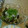 クック6DT4QG☆'s cooksnap of when they made ナスのさっぱり大根おろし＋ネギ♪.