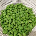 honmaguro's cooksnap of when they made 余った枝豆・自家冷凍.