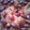 Snowy Ｏｗｌ's cooksnap of when they made 絶対に失敗しない！我が家のお赤飯.