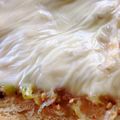 ニャーコ♪'s cooksnap of when they made ちりめんネギ塩ラー油.