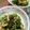 ☆めぇ☆ﾐ's cooksnap of when they made 霜降りひらたけと豆苗のナムル風炒め.