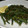 hiromi605's cooksnap of when they made トルコ料理☆簡単ささげの前菜.