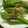 kam嫁's cooksnap of when they made ししとう〜おかか和え〜.