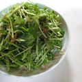 りりィさん's cooksnap of when they made 水菜とツナの中華風？サラダ.