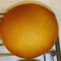 れれれのれいんぼう's cooksnap of when they made バンズパン.