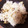 berry☆'s cooksnap of when they made 生姜がきいた☆簡単あさりごはん.