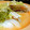 inyako's cooksnap of when they made 超簡単！白菜と豚肉の重ね蒸し.