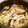 rinakos's cooksnap of when they made 干し椎茸の炊き込みご飯.