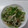 ばぁんすあん's cooksnap of when they made ザーサイとササミの水菜サラダ.
