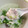 ぽんぽん72's cooksnap of when they made ☆サムゲタン風おかゆ☆圧力鍋で簡単！.