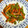 antkishi's cooksnap of when they made 和風な♪人参とピーマンのクミン炒め.