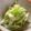 yukinoba's cooksnap of when they made いんげんの胡麻和え.