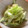 yukinoba's cooksnap of when they made いんげんの胡麻和え.