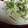 たまご子's cooksnap of when they made 簡単・おいしい！中華風お粥☆.