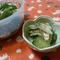 はる花mama's cooksnap of when they made 簡単♪みょうがでやみつききゅうり.