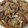 サクサク３９'s cooksnap of when they made ご飯が進む豚の生姜焼き♪簡単で美味しい!.